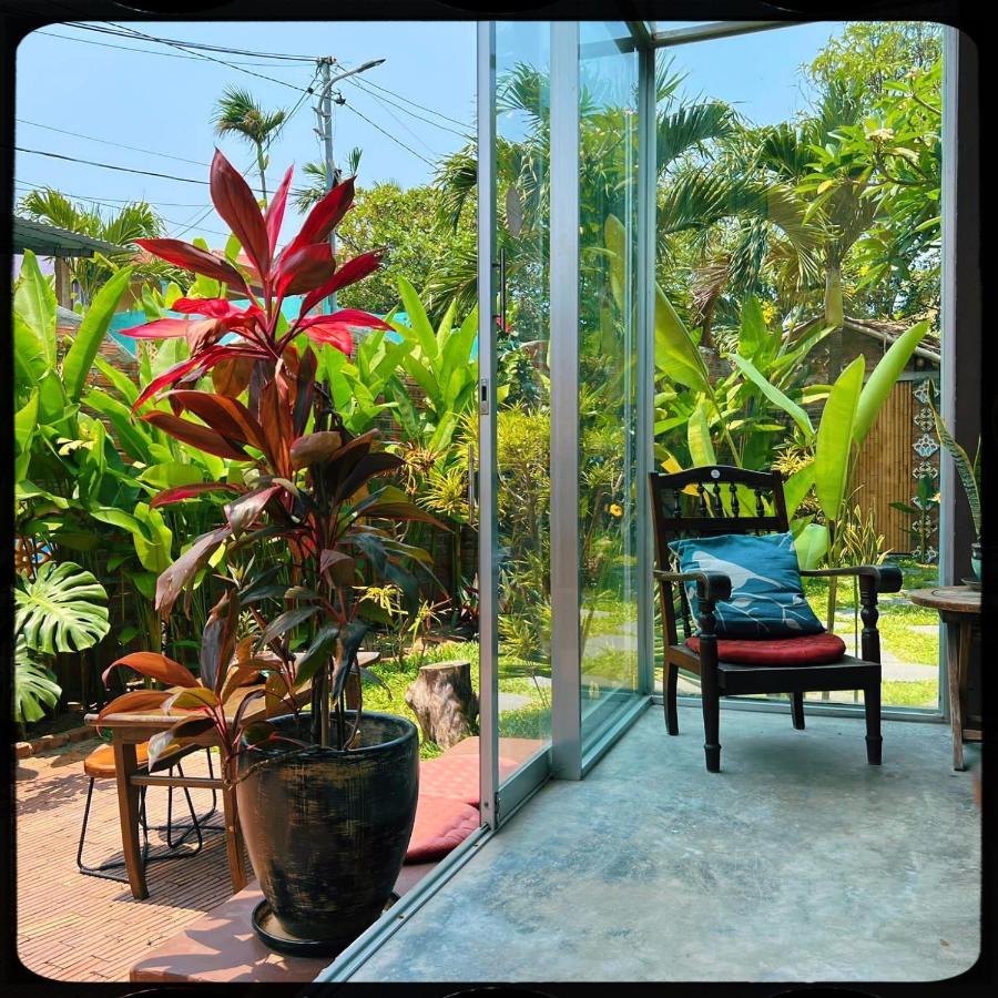 The Happy Bird B&B Hoi An Exterior foto
